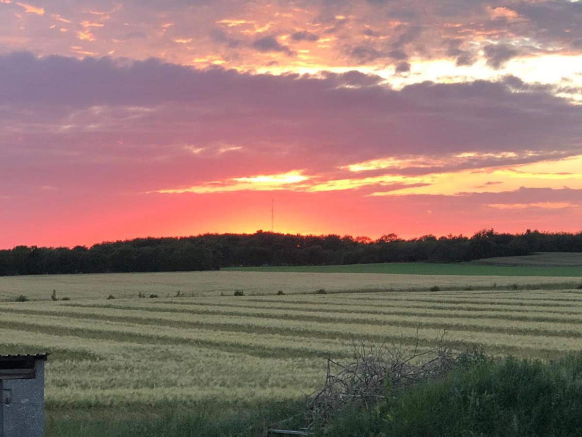 Holoftet Bb Bed & Breakfast Esbjerg Bagian luar foto