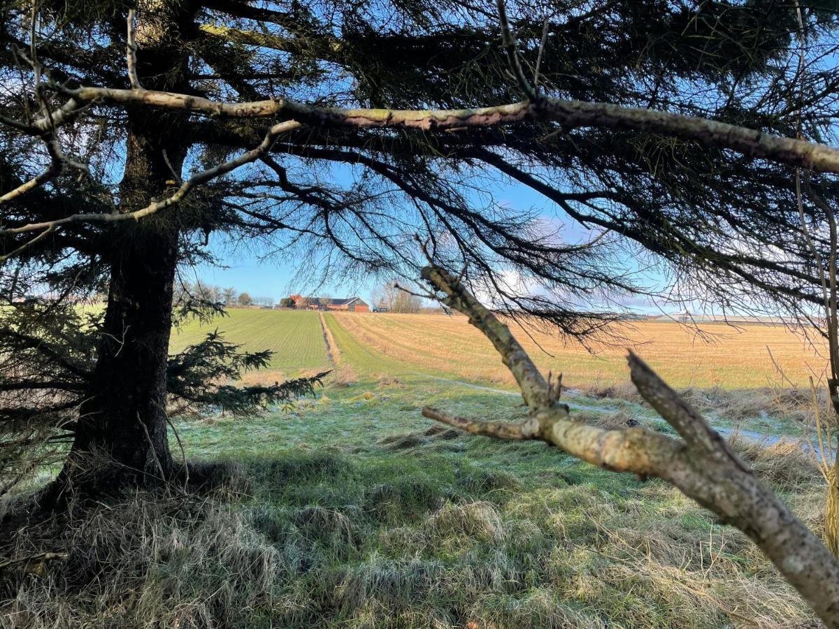 Holoftet Bb Bed & Breakfast Esbjerg Bagian luar foto